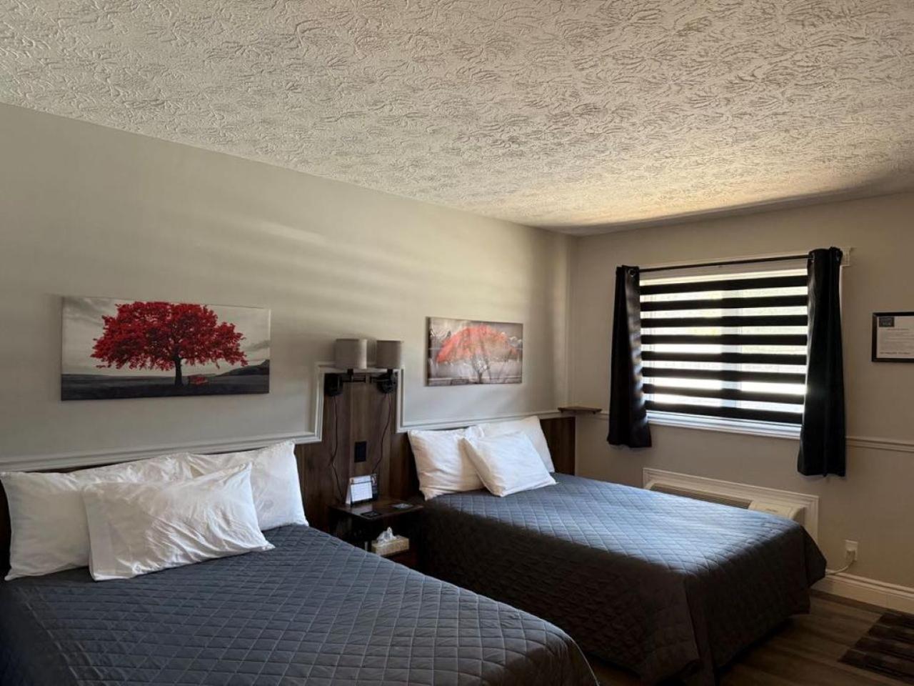 Auberge Micky Inc Edmundston Zewnętrze zdjęcie